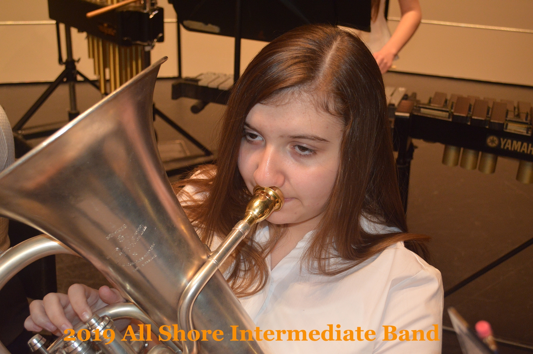 ASIBDA | All Shore Intermediate Band Director's Association 